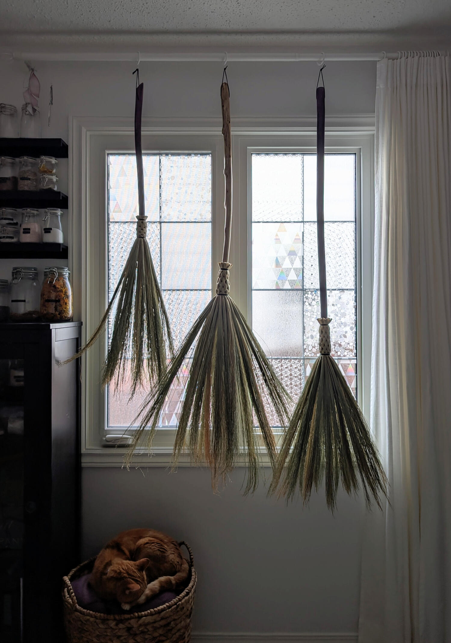 Brooms Hanging to Dry Three brooms hanging in front of a window to dry, with a cat sleeping in a basket below.
