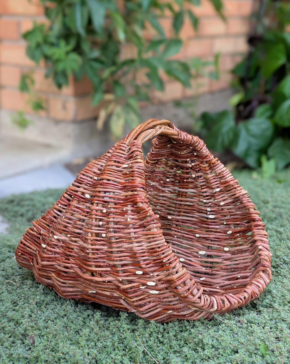 Gathering Basket Willow gathering basket on a bed of greenery.