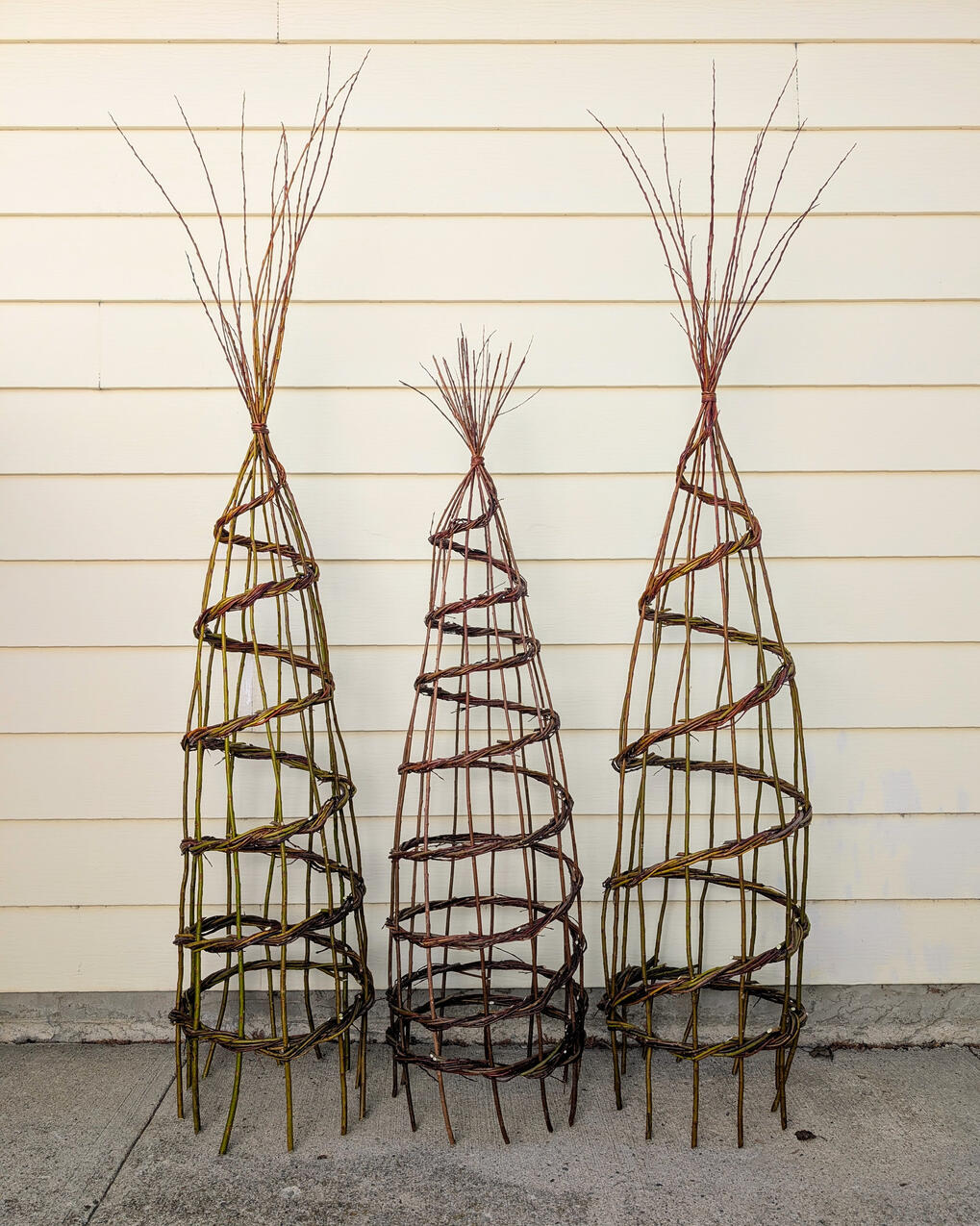 Garden Obelisk 3 willow garden obelisks.