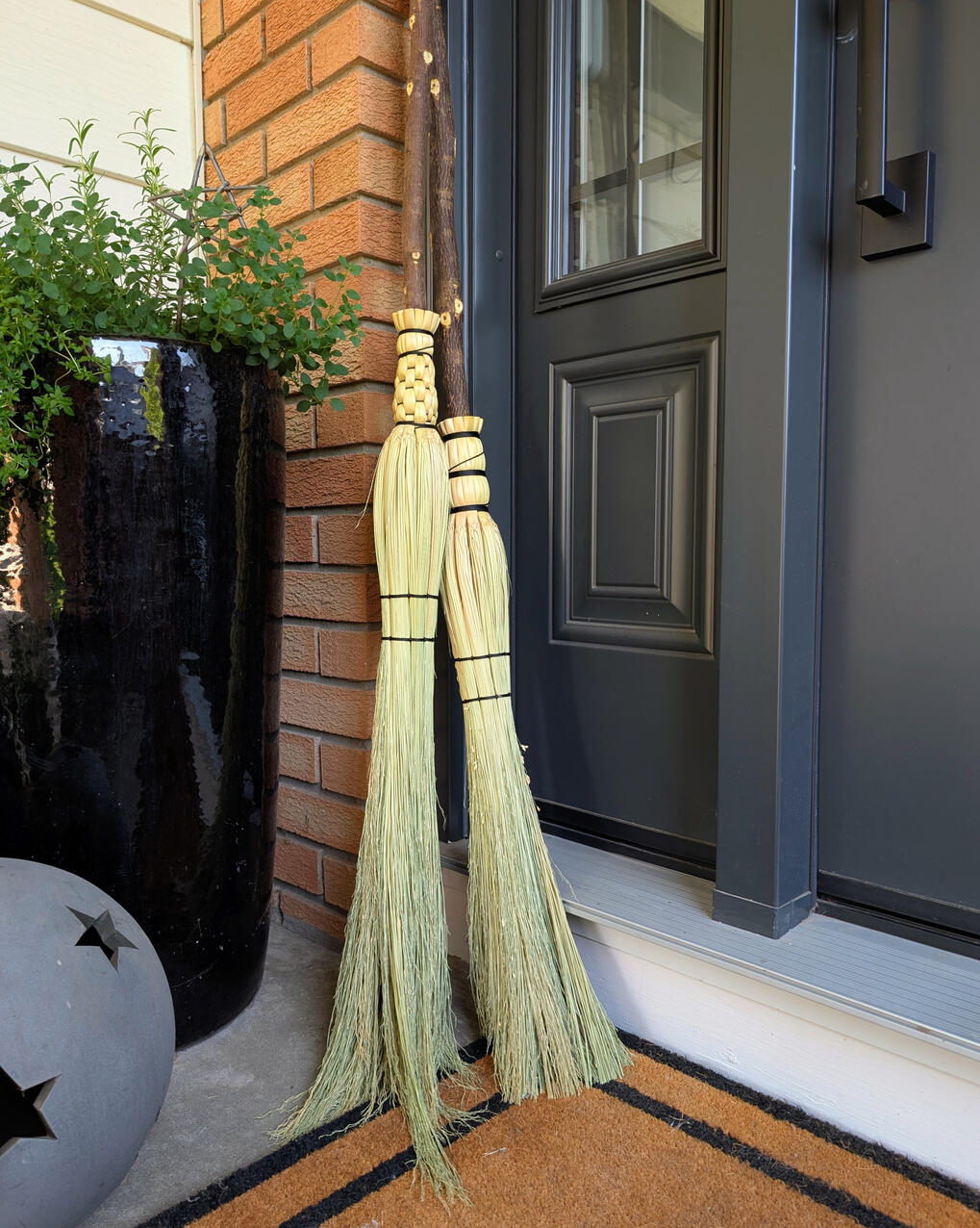 Cobwebber Broom Two cobwebber brooms leaning against a black door, orange brick and plants.